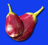 brinjal