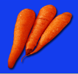 carrot