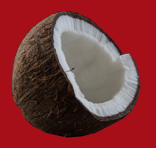 coconut