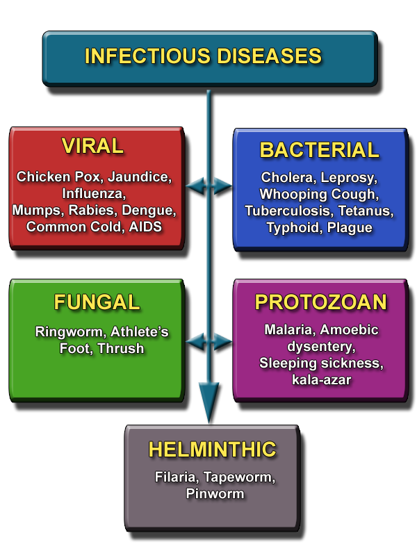Types Of Contagious Diseases Types Of Contagious Diseases