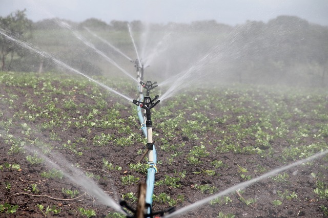 sprinkler irrigation