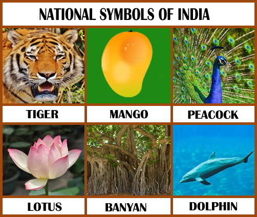 national symbols of india