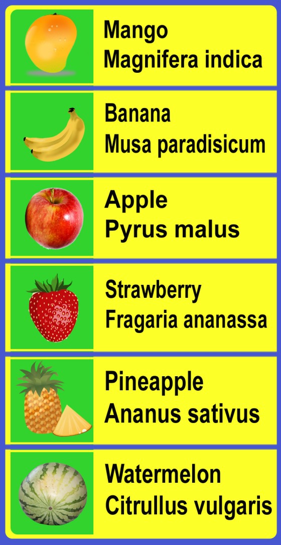Scientific names of fruits