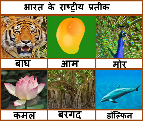 national symbols of india in hindi