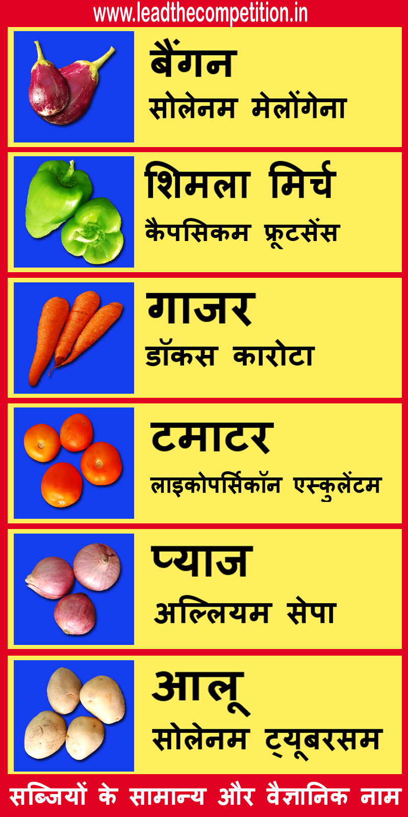Scientific names of vegetables in hindi