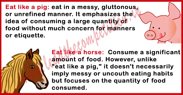 eat like a pig or a horse