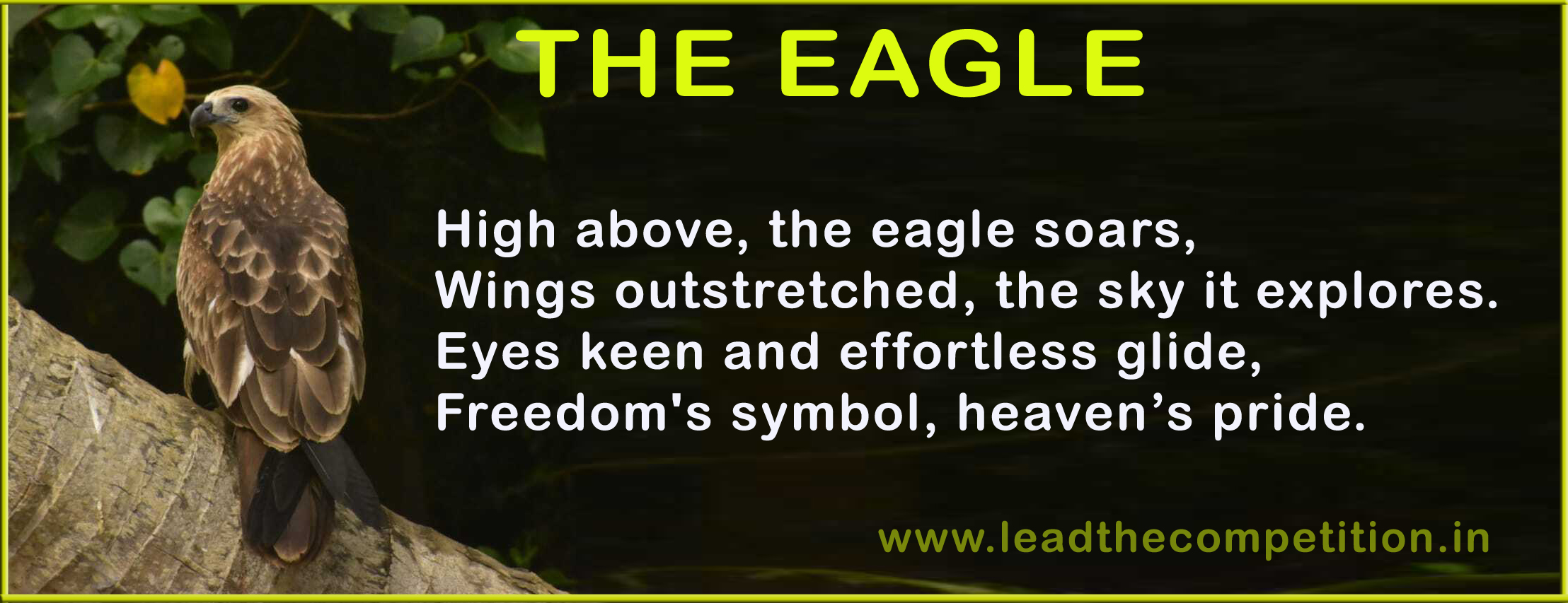 Eagle Poem