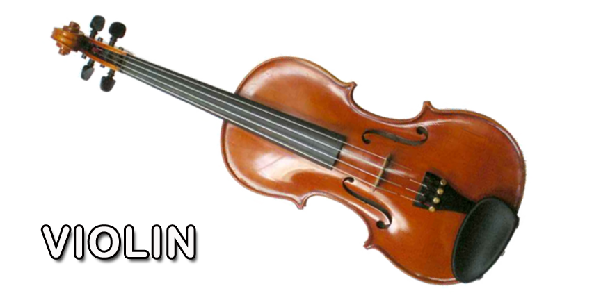 Violin